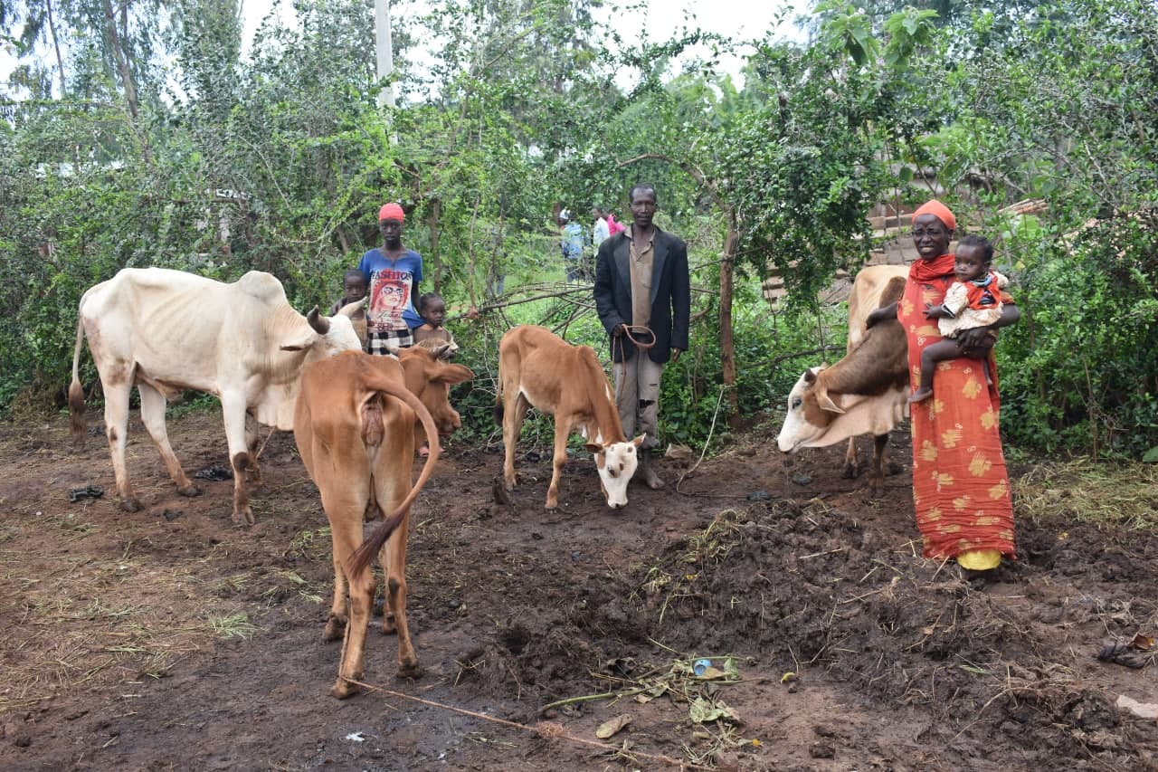 In five years, three goats multiplied to yield four cows