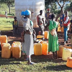 HareWenji ladies fetching borehole water