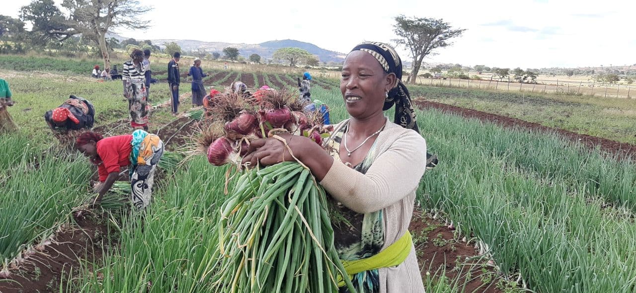 GEA Vegetable farm