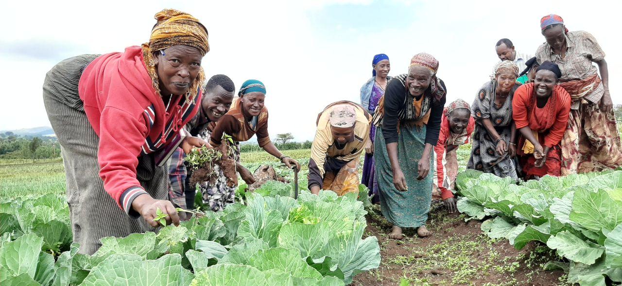 GEA Vegetable farm